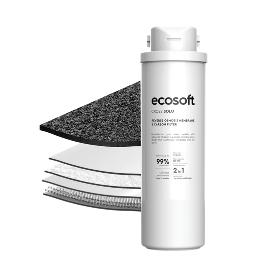 Utbytesfilter till Ecosoft CROSS Solo